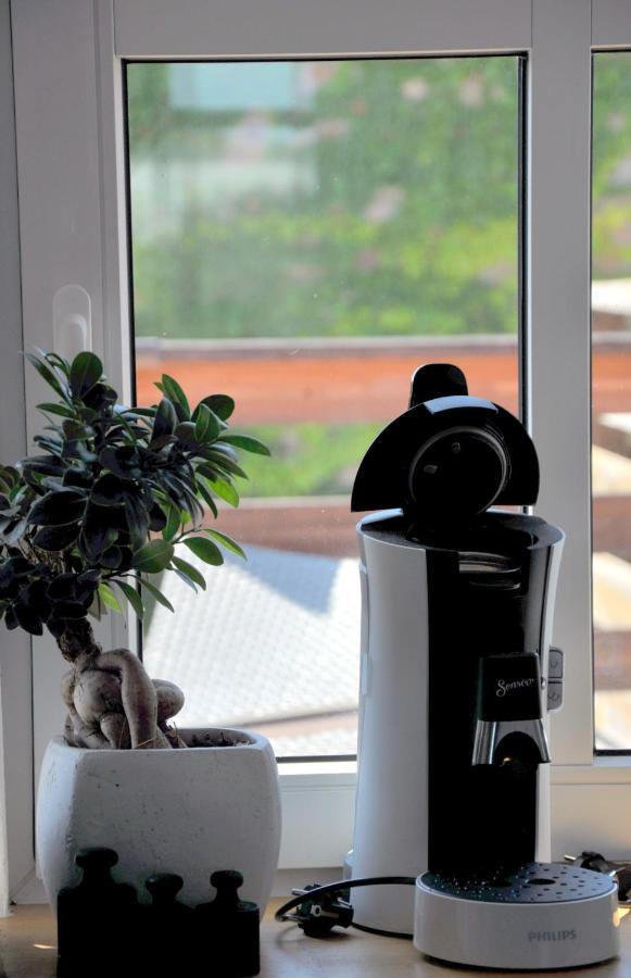 Gemuetliche Dachwohnung Mit Kleiner Oder Grosser Dachterrasse Nebeneinander Wolmirstedt Eksteriør billede